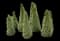 Jean's Dilly® Alberta Spruce Tree — design image 2
