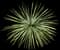 Chaparral yucca — design image 4