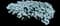 Purity Evergreen Candytuft — design image 2