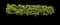 Tea Olive Shrub — design image 3