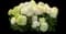 Hydrangea White Wedding® — design image 1