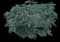 Silver Sage — design image 6