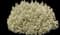 Lavender 'Meerlo' — design image 1