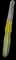 Totem Pole Cactus — design image 15