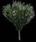 Rose of Sharon — design image 9