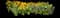 Wild Daffodil — design image 18