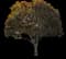 Southern Magnolia — design image 10