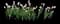Garden Tulips — design image 11