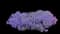 Cascade Purple Rockcress — design image 10