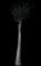 Torch Aloe — design image 14