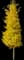 Princeton Sentry™ Columnar — design image 1