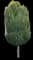 American Hornbeam — design image 1