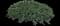 Blue Chip Creeping Juniper — design image 1