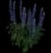 Unplugged® So Blue™ Sage — design image 3