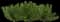Savin Juniper — design image 2