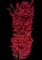 Japanese Maple Tree — design image 12