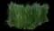 Feather Reed Grass — design image 23