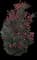 Yuletide Camellia — design image 1