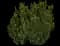 Castle Keep® Blue Holly — design image 6