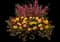 MixMasters™ Plant Combinations from Ball — design image 4