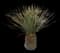 Desert Spoon — design image 23