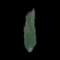 Columnar Buckthorn — design image 8