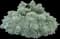 Silver mound (Artemisia) — design image 1