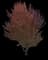 Silver Maple Tree — design image 12