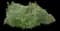 Mexican Petunia — design image 1