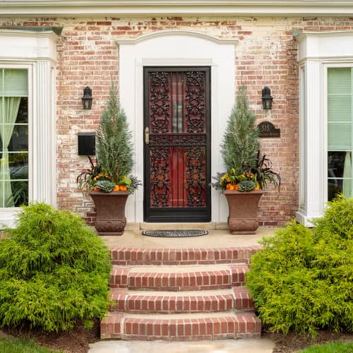 chamaecyparis-lawsoniana-smnclbf