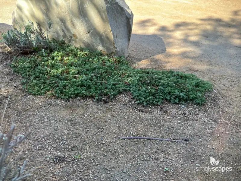 Rock Mat — photo 1