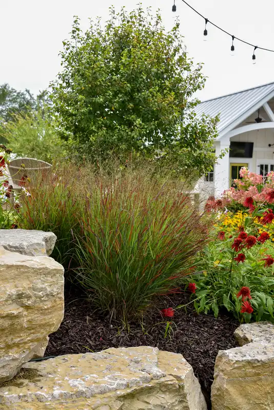 Prairie Winds® Cheyenne Sky Red Switch Grass — photo 1