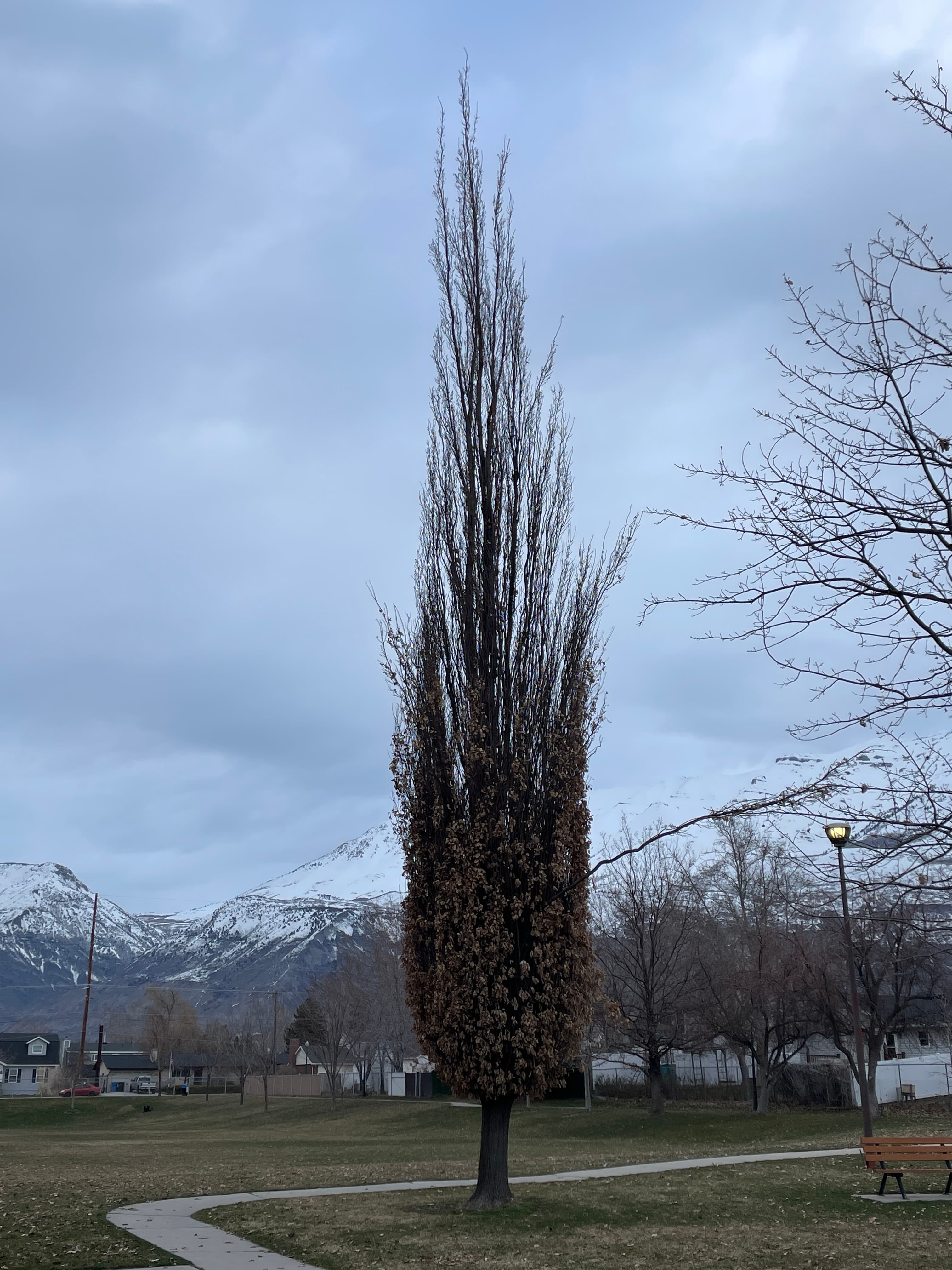 FC8D4A3E-0E6D-45B5-9606-944236873F62