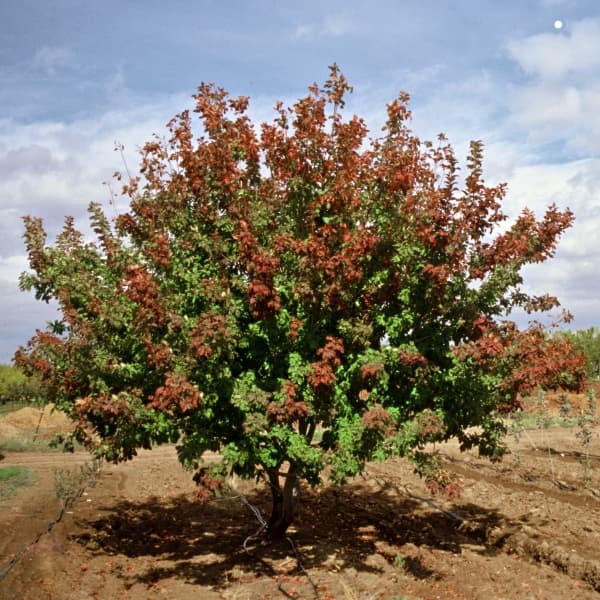 4A459413-631B-41BA-BE70-9301C2E0976C