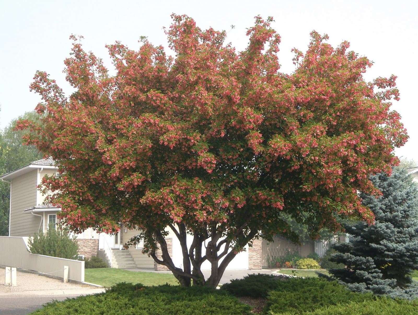 E13BABA5-710D-4259-8ABE-945B18F2ED94