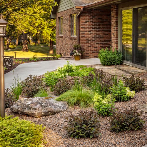 weigela-florida-spilled-wine