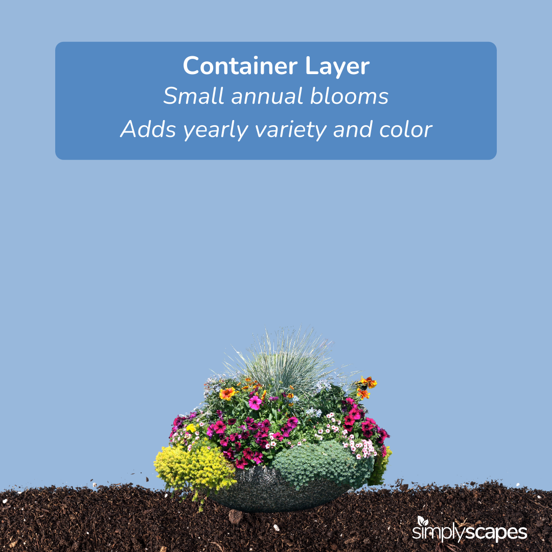Container Layer