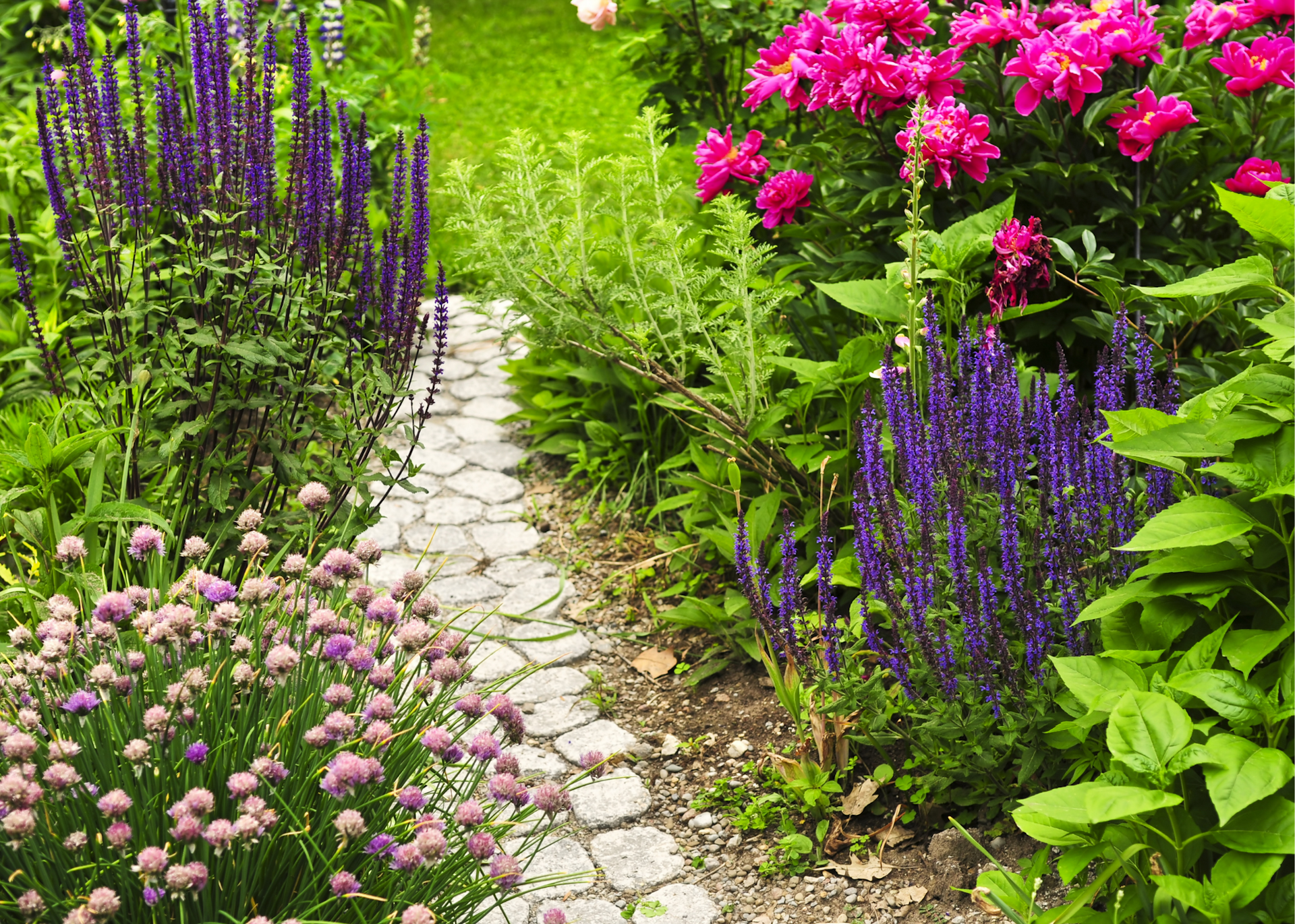 Pathway with plant combinations