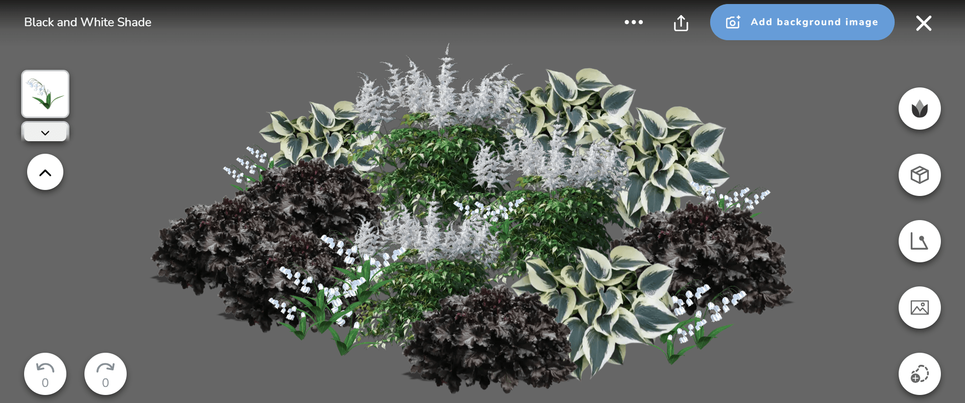 Black & White Shade Garden