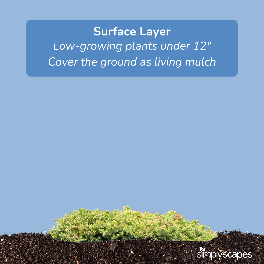 Surface Layer
