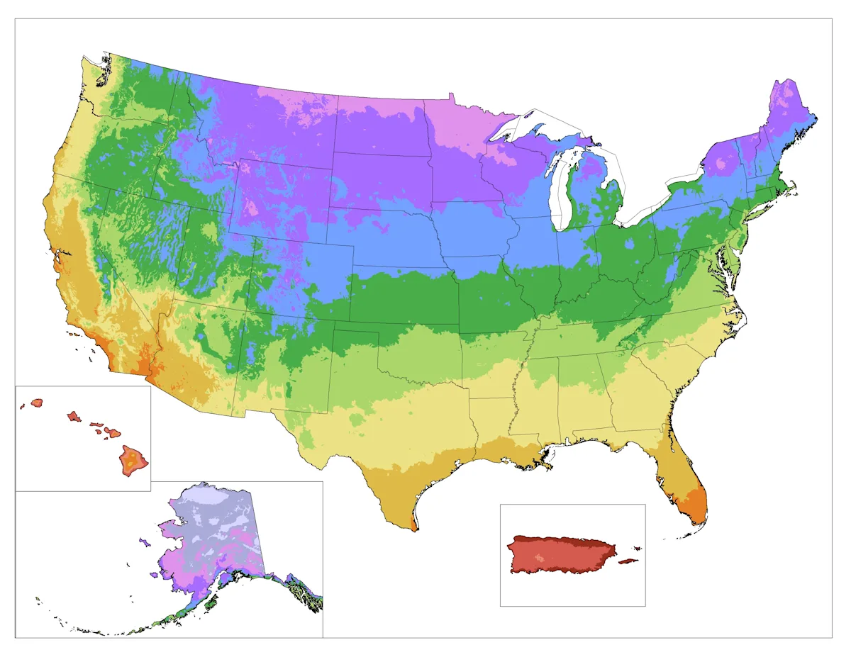 USDA Hardiness