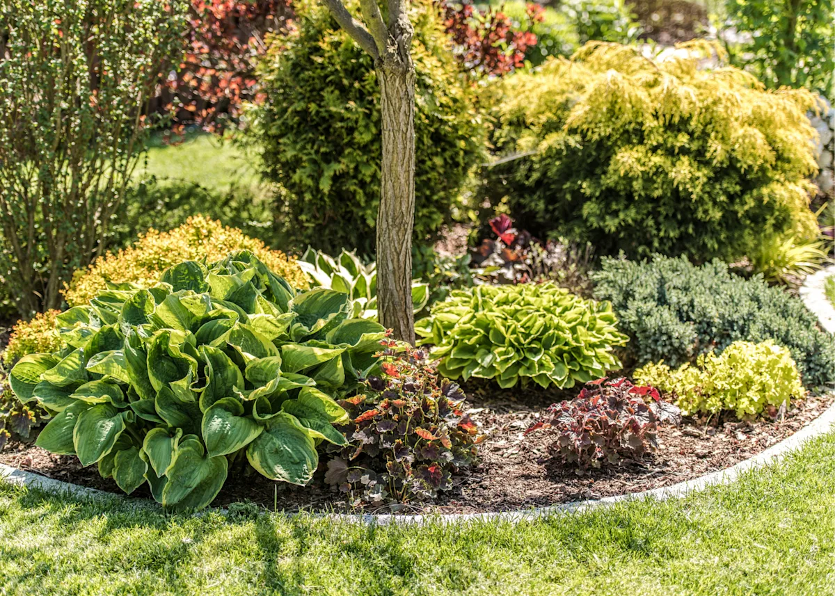 Foliage based plant combination