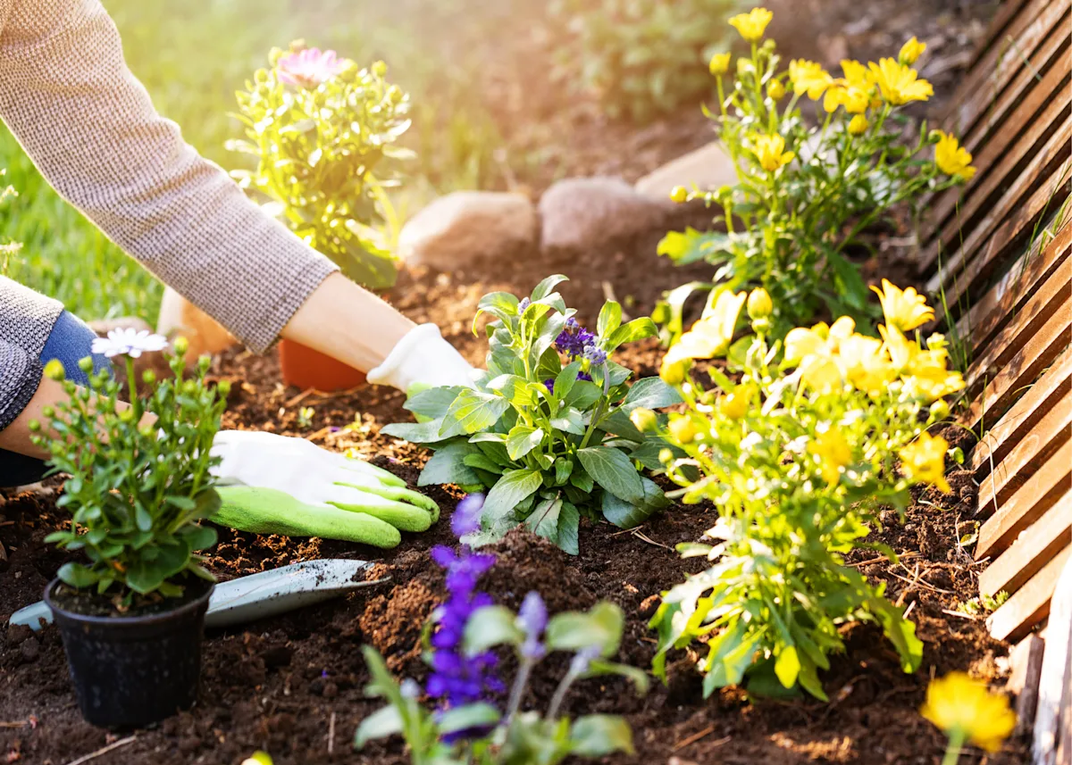 Gardening image