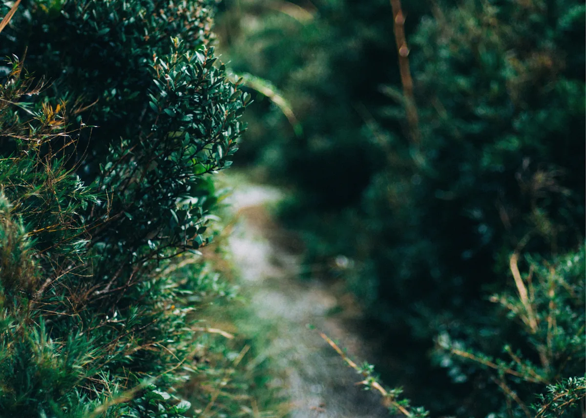 Explorative space