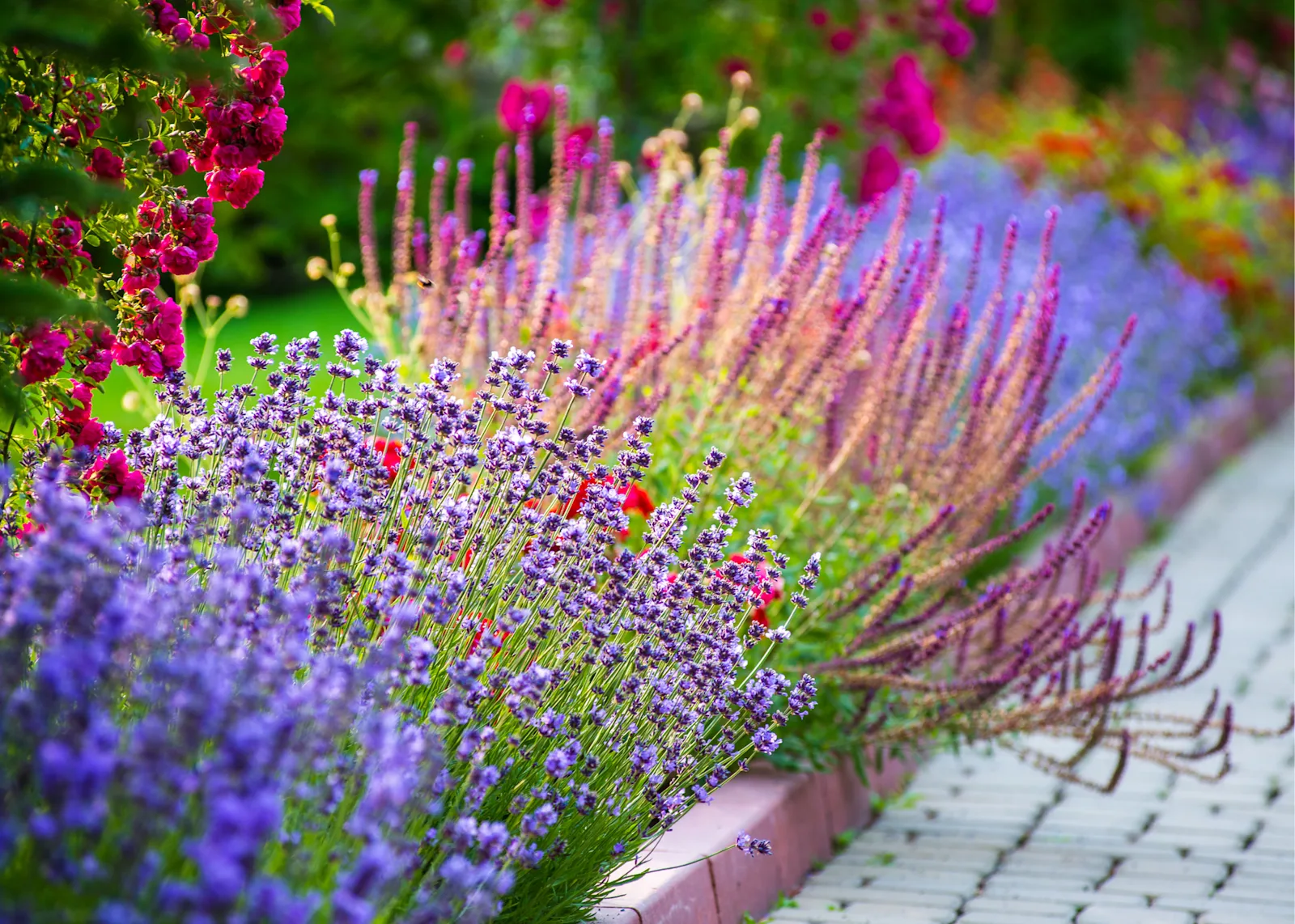 Colorful plant combos