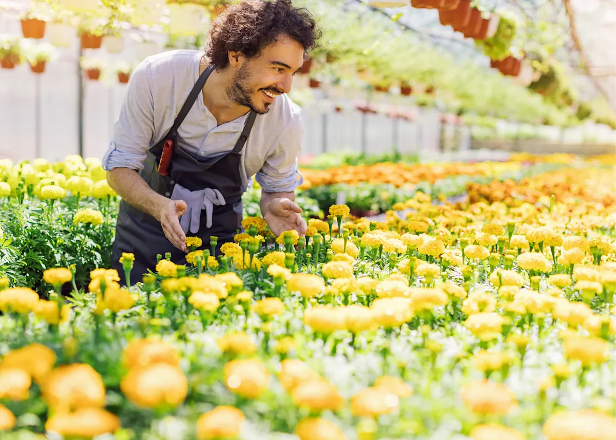 Man with yellow flowers at garden center