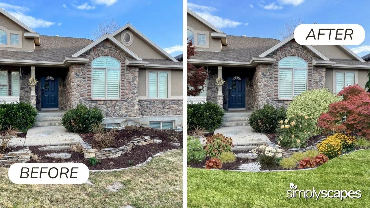 Before and After