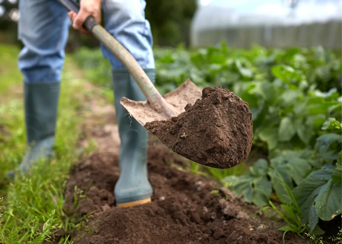 digging dirt with a shovel