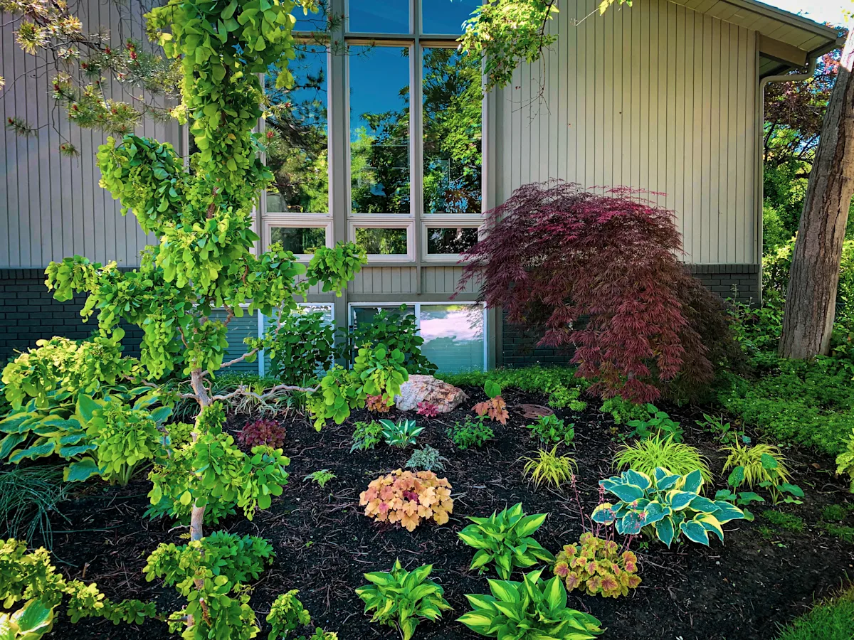 shade hosta planter