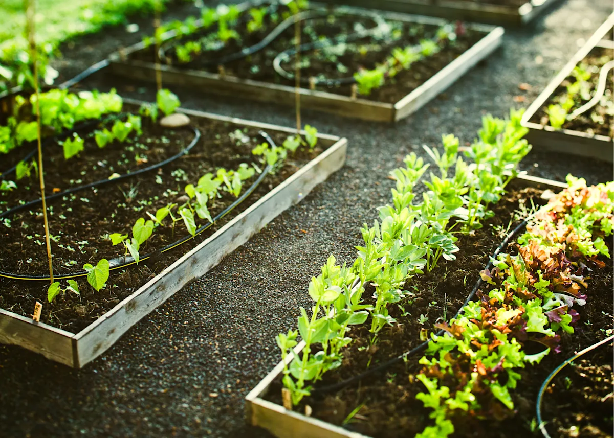 Raised garden bed